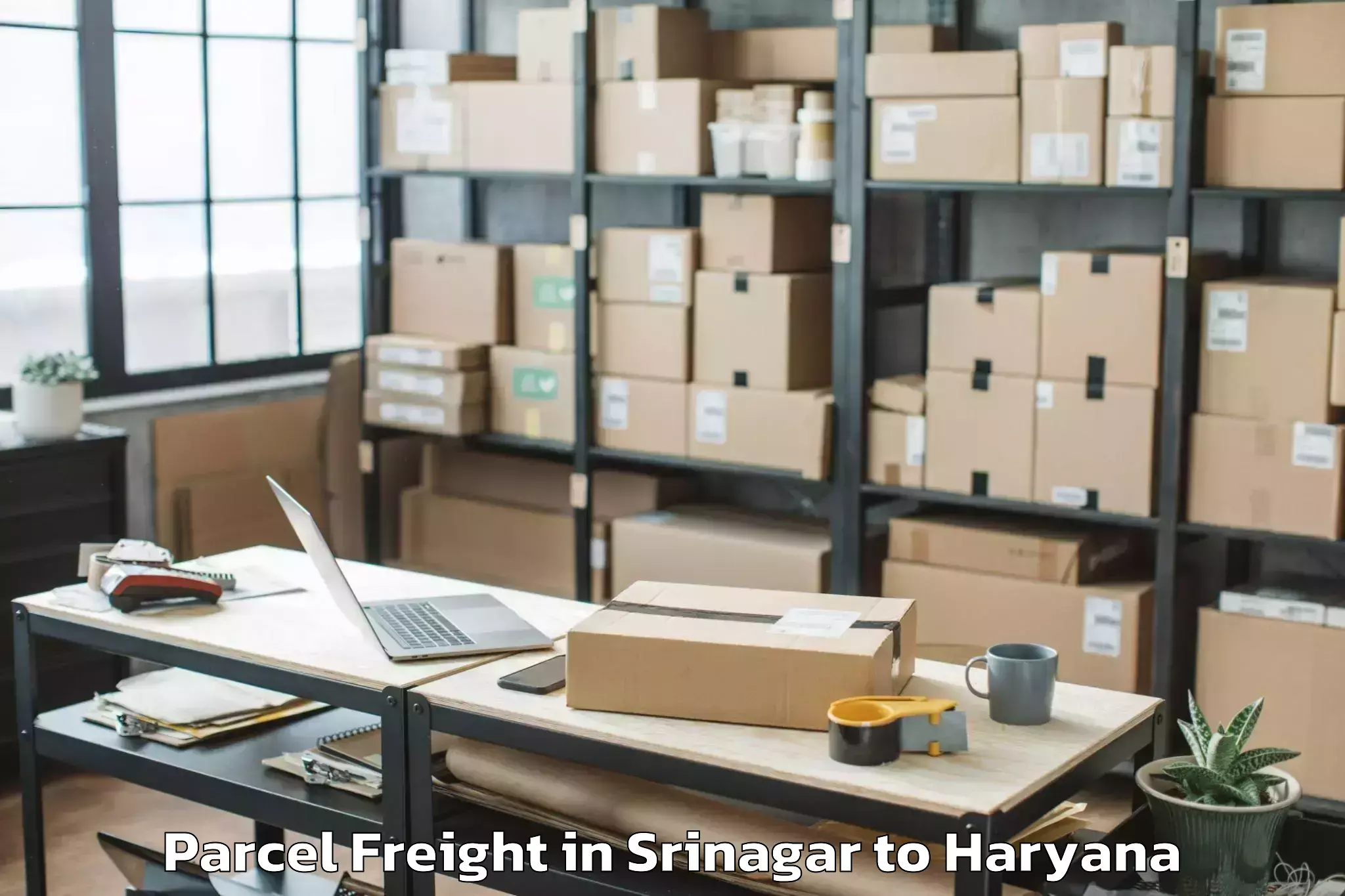 Easy Srinagar to Sushant University Gurgaon Parcel Freight Booking